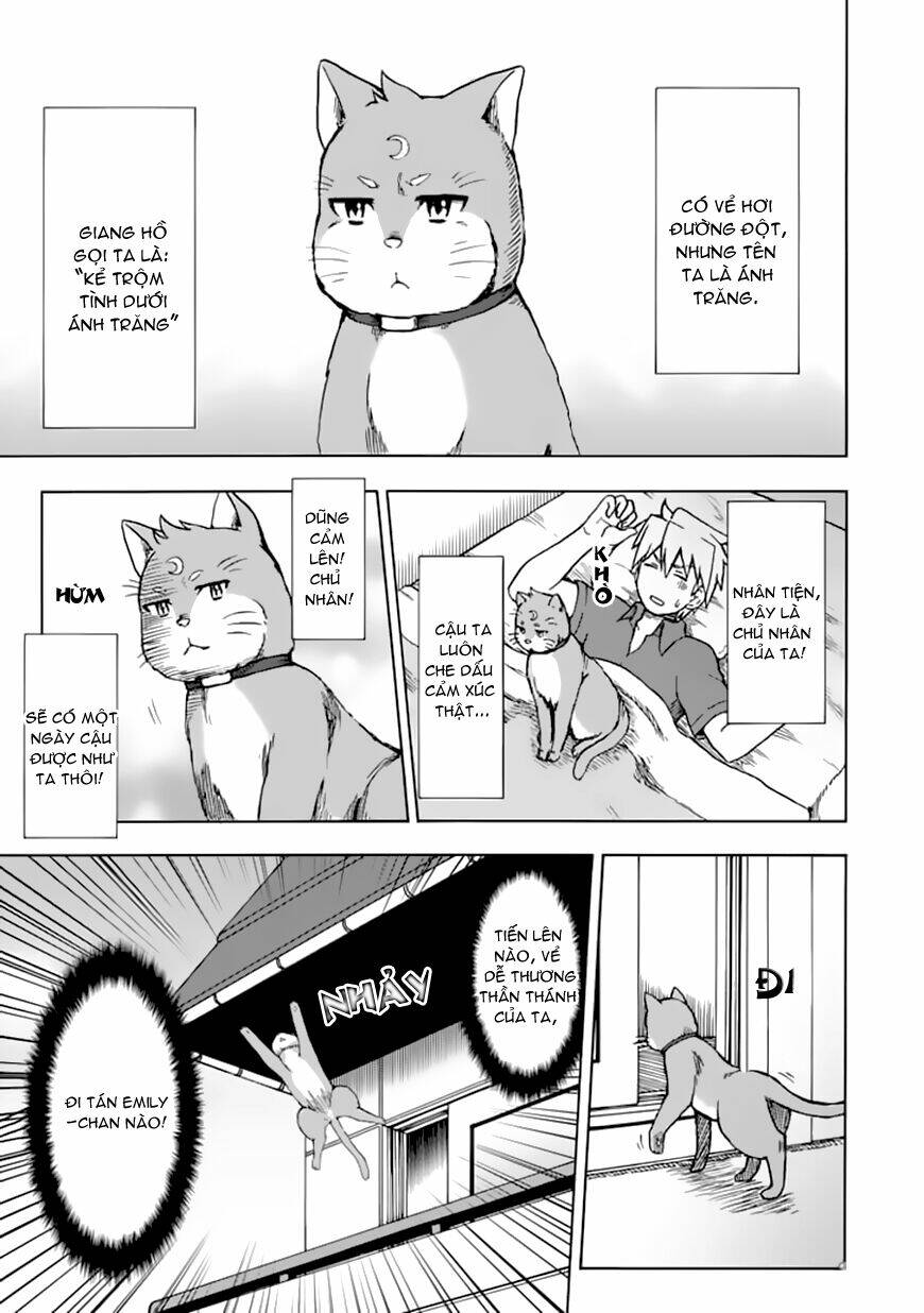 Fujimura-kun Meitsu: Chapter 72