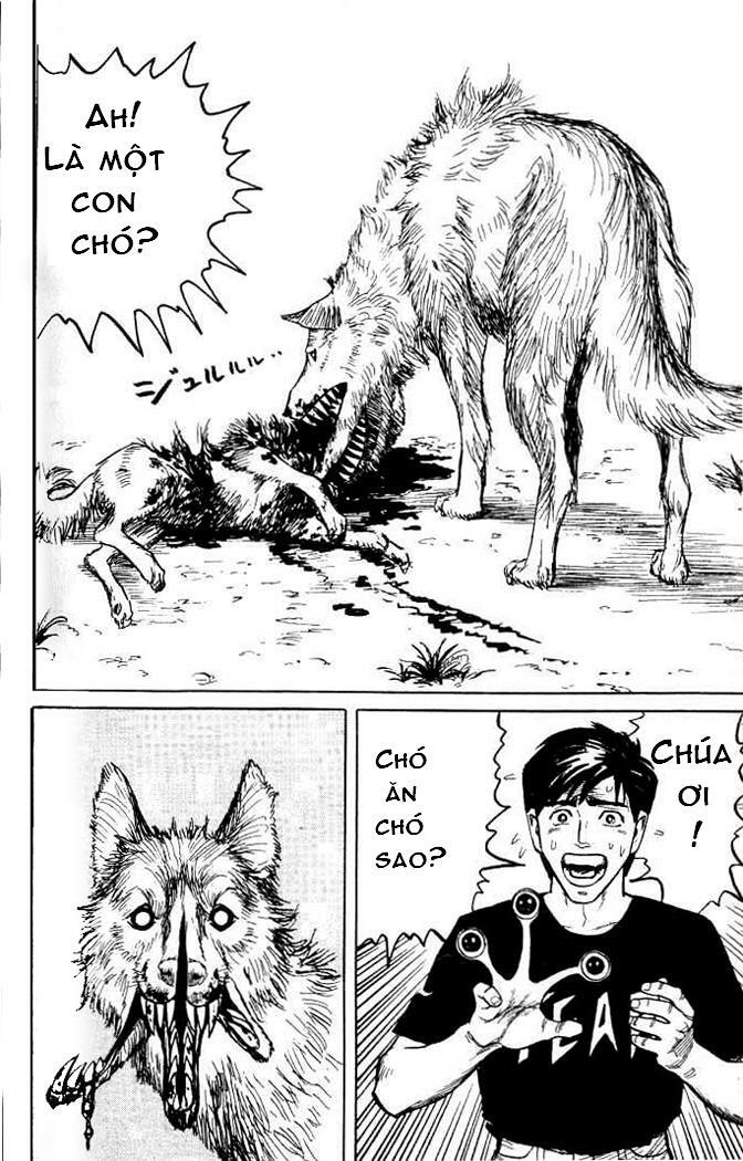 Kiseijuu - Ký sinh vật: Chapter 2