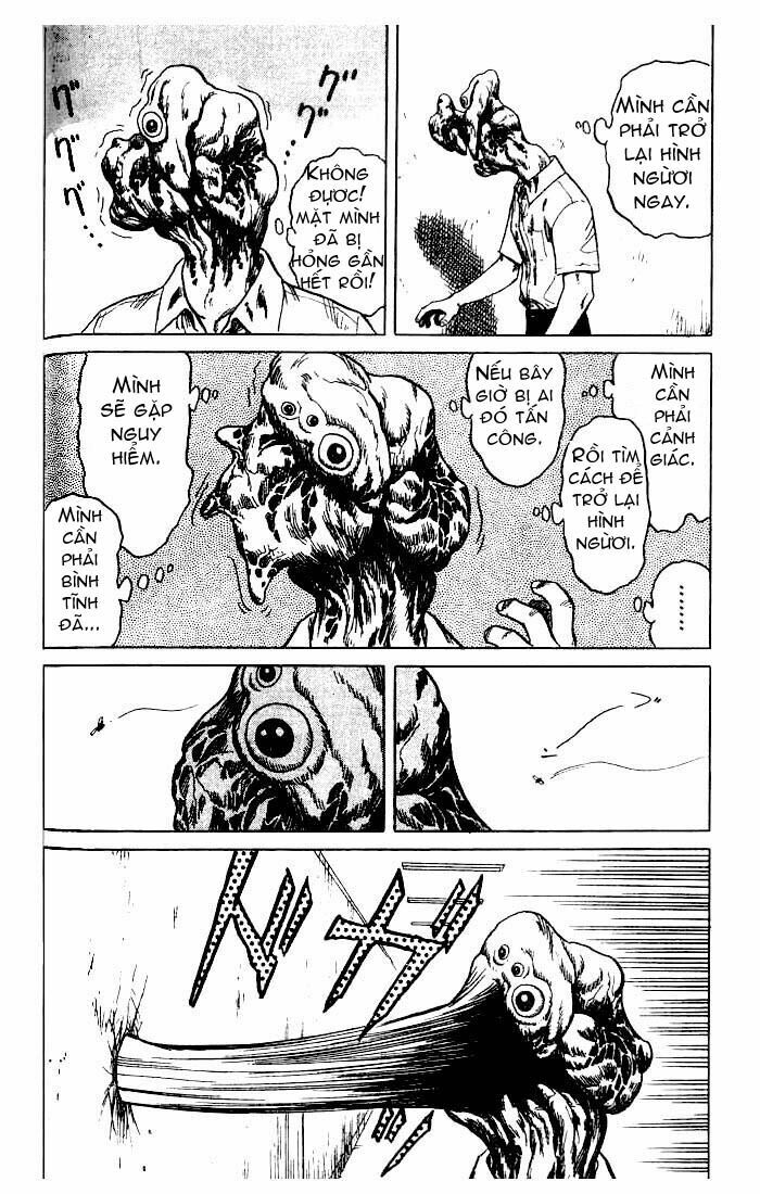 Kiseijuu - Ký sinh vật: Chapter 23