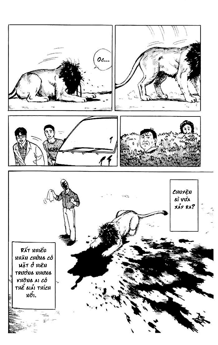 Kiseijuu - Ký sinh vật: Chapter 4