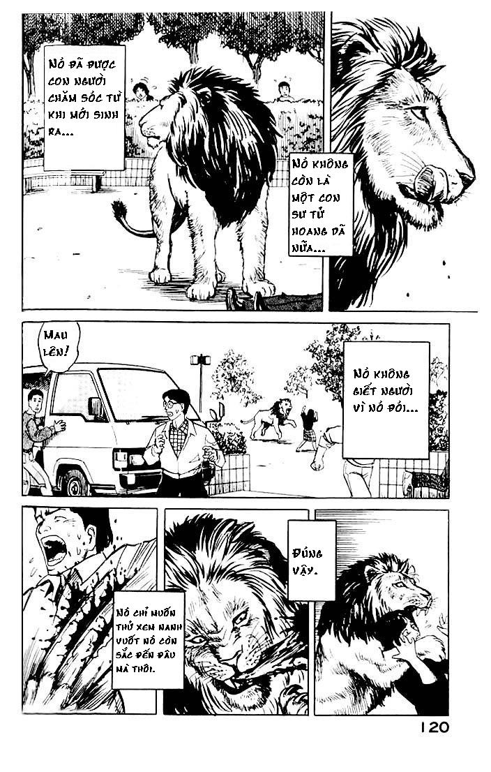 Kiseijuu - Ký sinh vật: Chapter 4