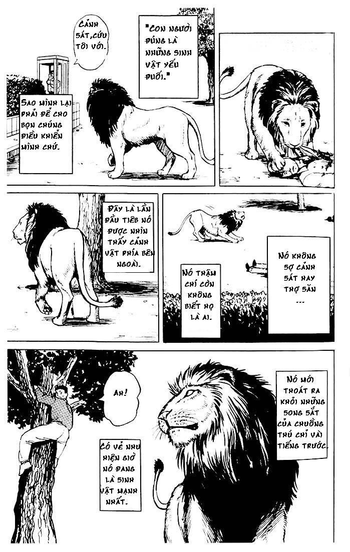 Kiseijuu - Ký sinh vật: Chapter 4