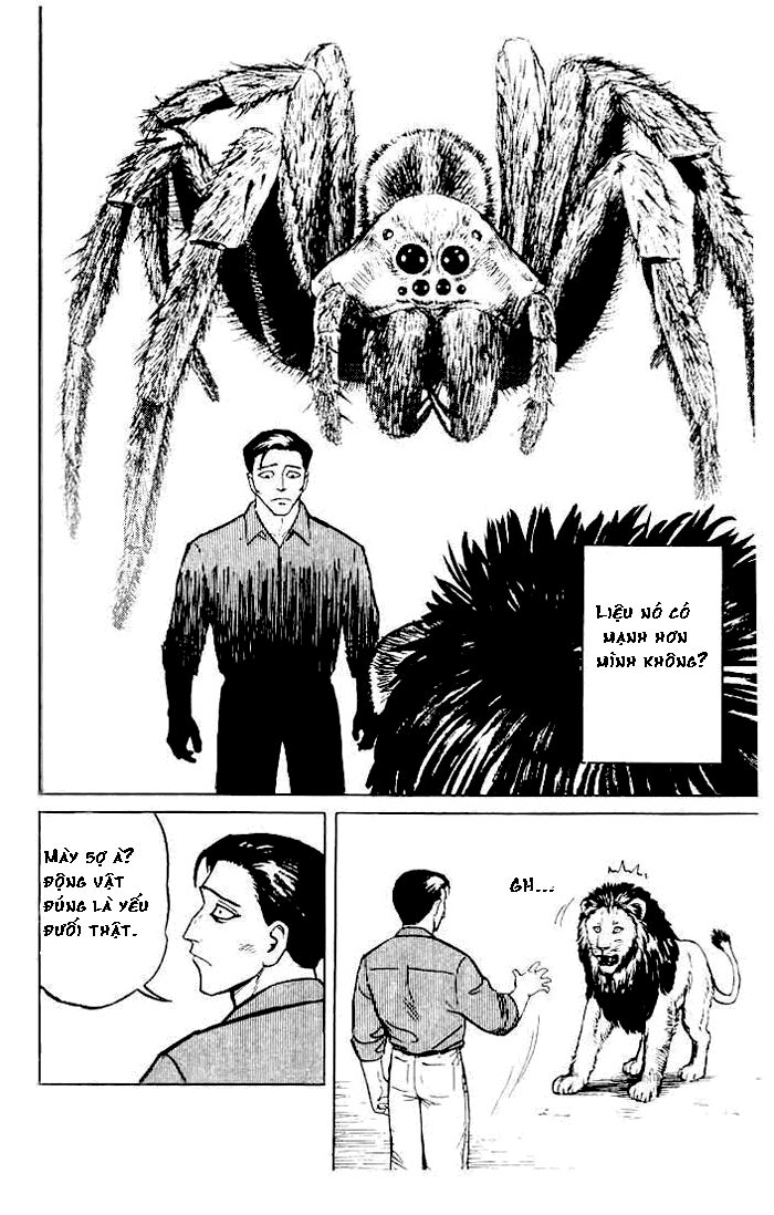 Kiseijuu - Ký sinh vật: Chapter 4