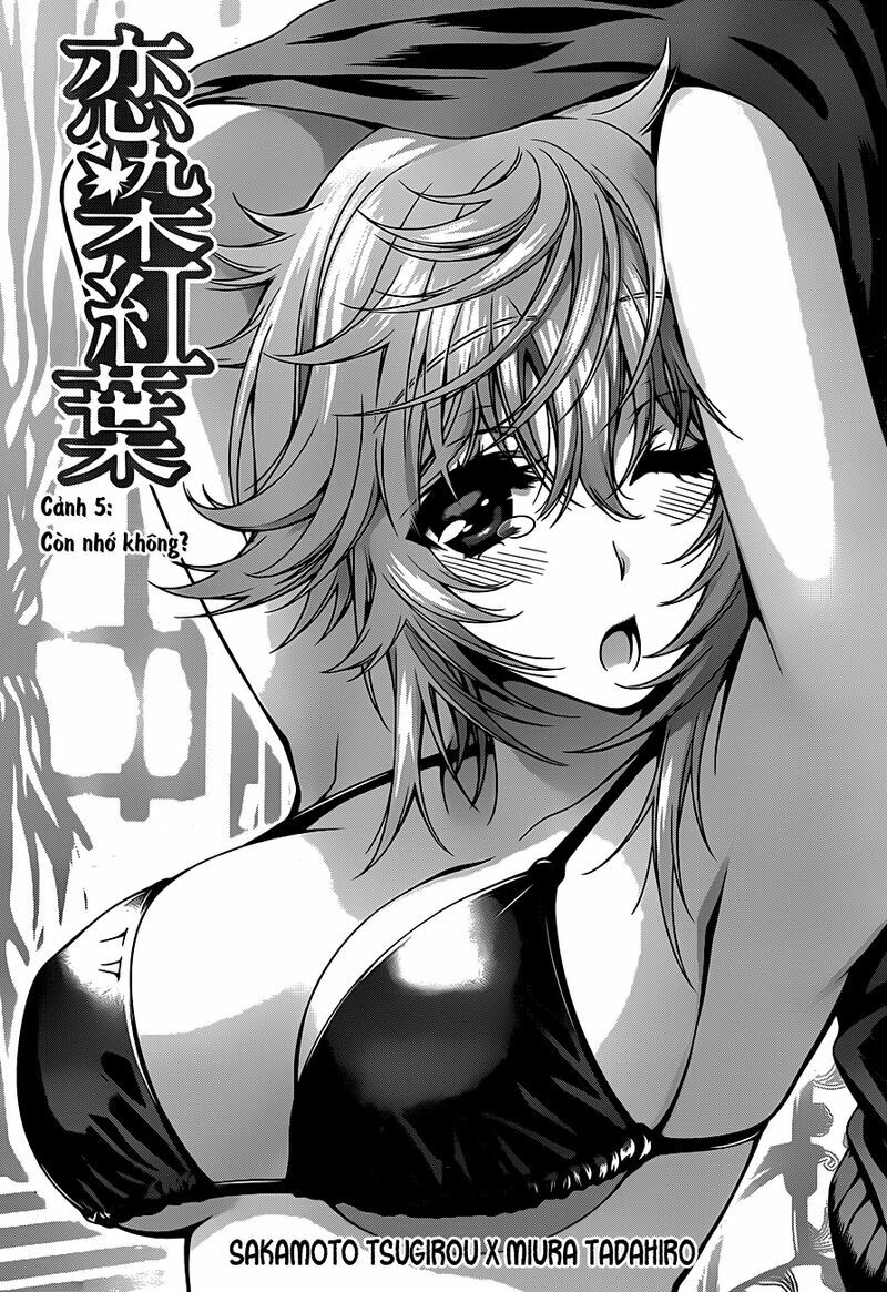 Koisome Momiji: Chapter 5