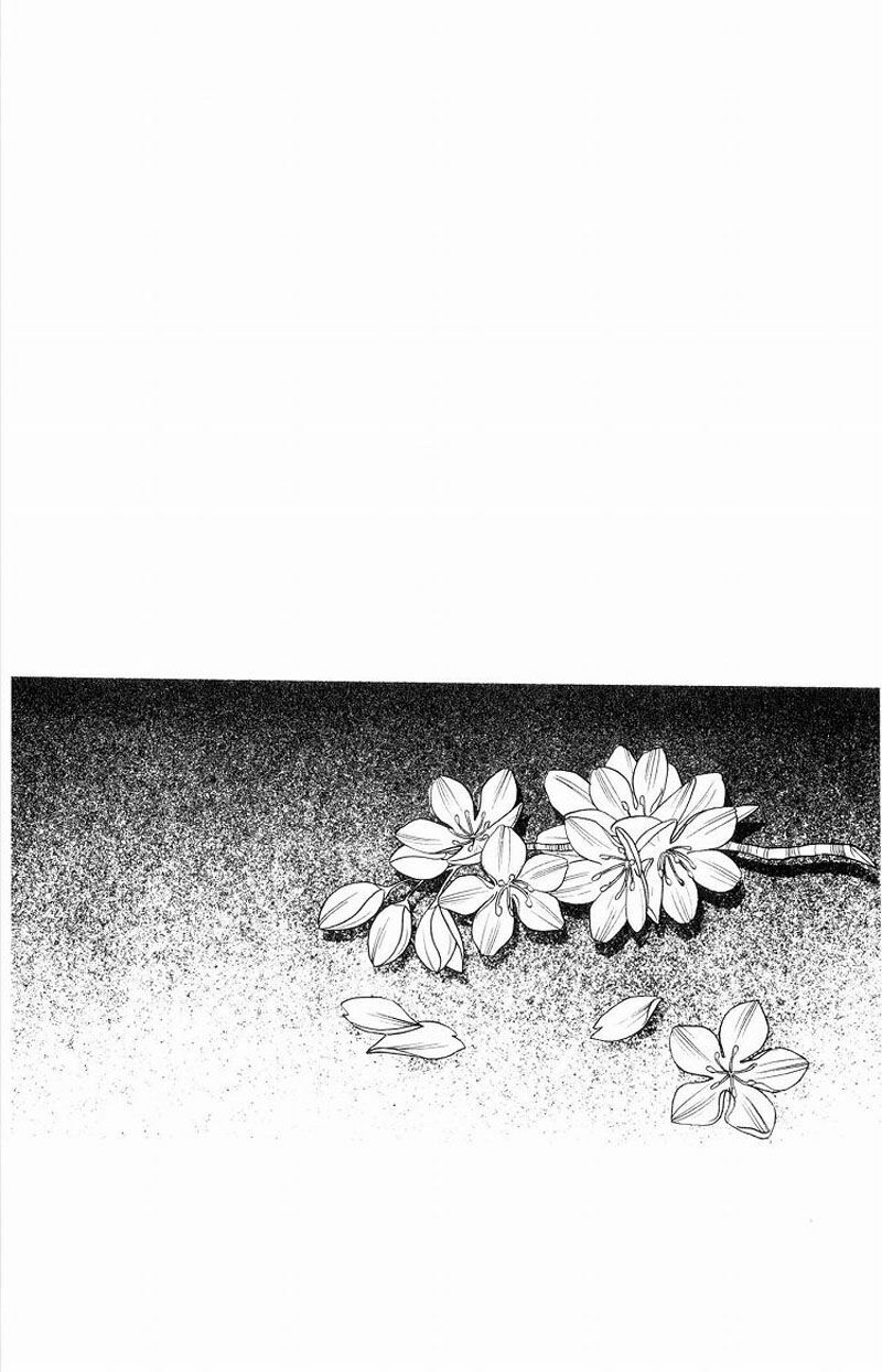Kare kano: Chapter 7.2: Extra: Dưới tán hoa anh đào ...