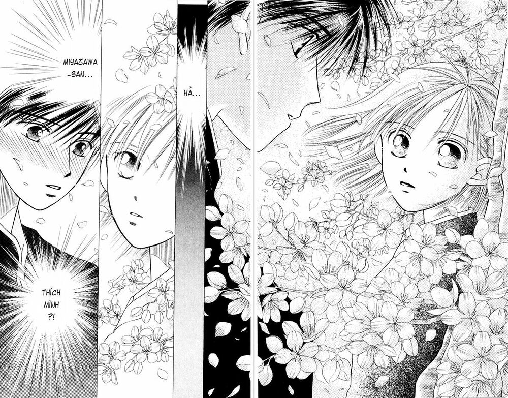 Kare kano: Chapter 7.2: Extra: Dưới tán hoa anh đào ...