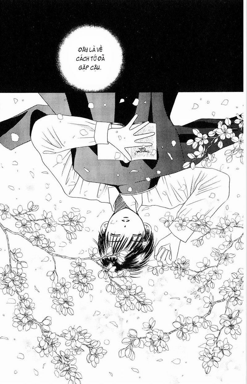 Kare kano: Chapter 7.2: Extra: Dưới tán hoa anh đào ...
