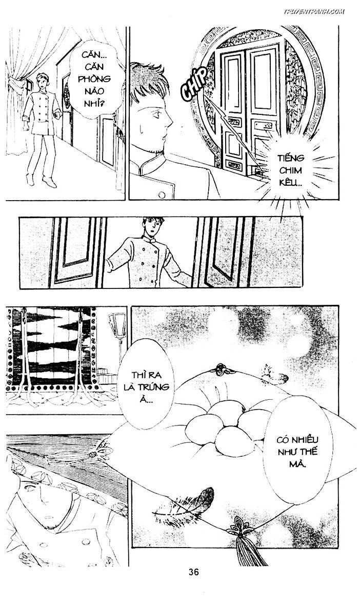 Tiệm Thú Kiểng: Chapter 17.5