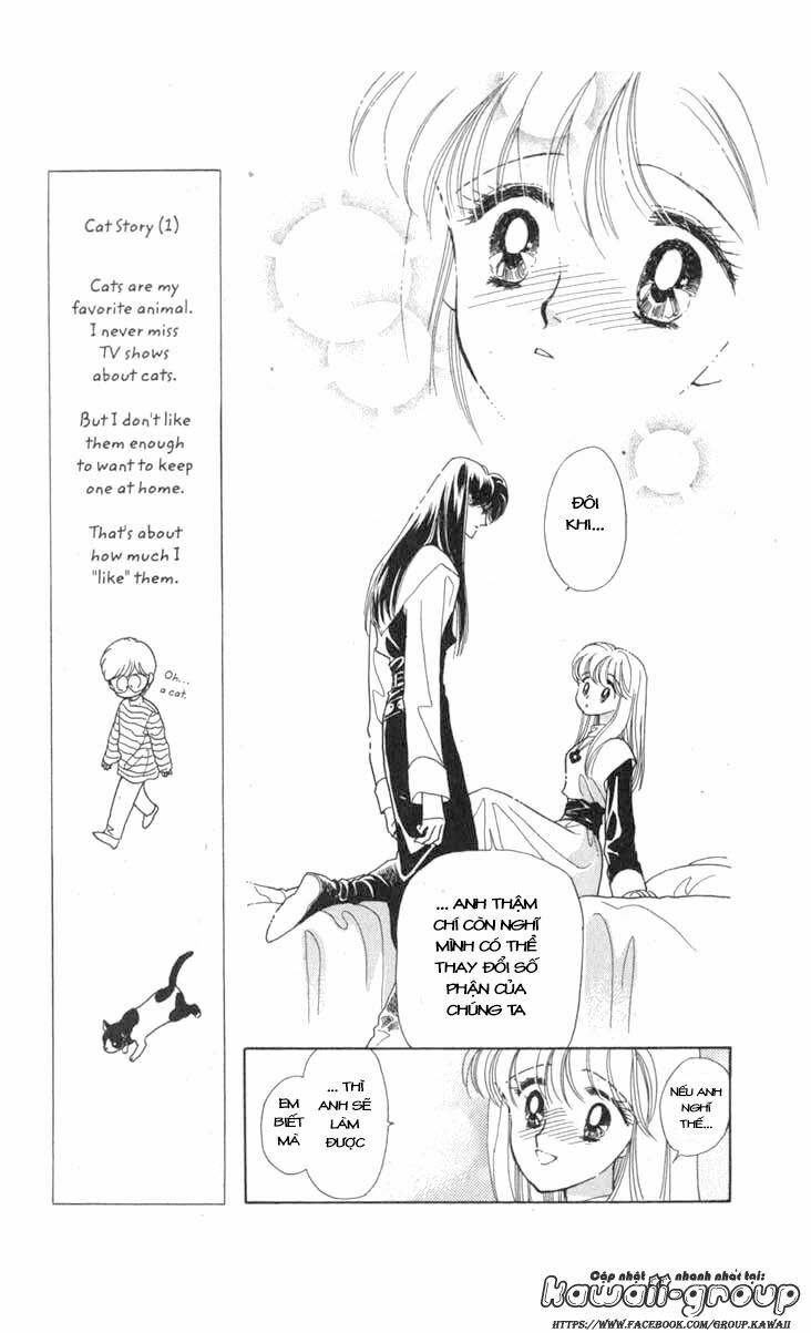 Vùng đất xa xăm: Chapter 29