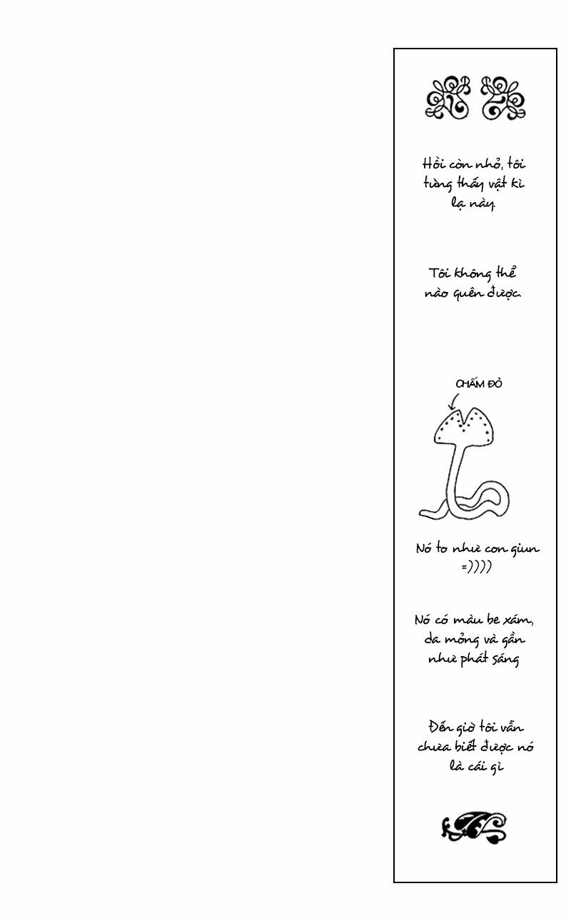 Vùng đất xa xăm: Chapter 5