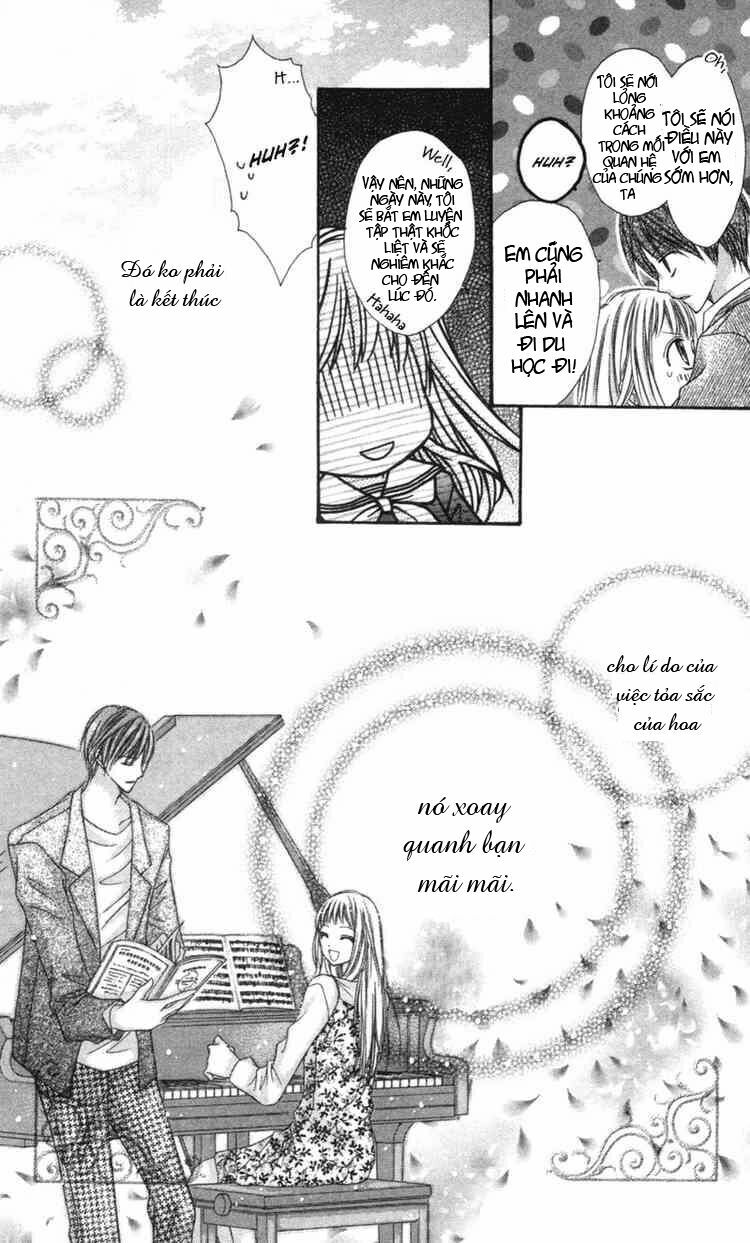 Thiên Đường Lay Động: Chapter 4