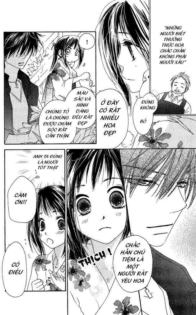 Kiss/Hug: Chapter 1: - Thủy Mộc