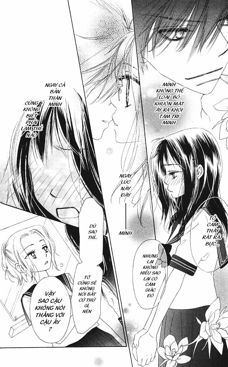 Kiss/Hug: Chapter 2: - Lâu Đấu