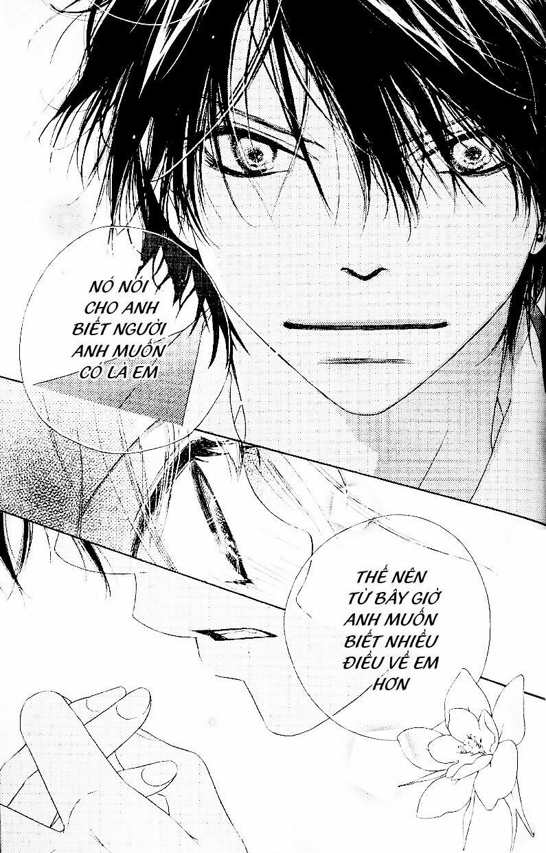 Kiss/Hug: Chapter 2: - Lâu Đấu