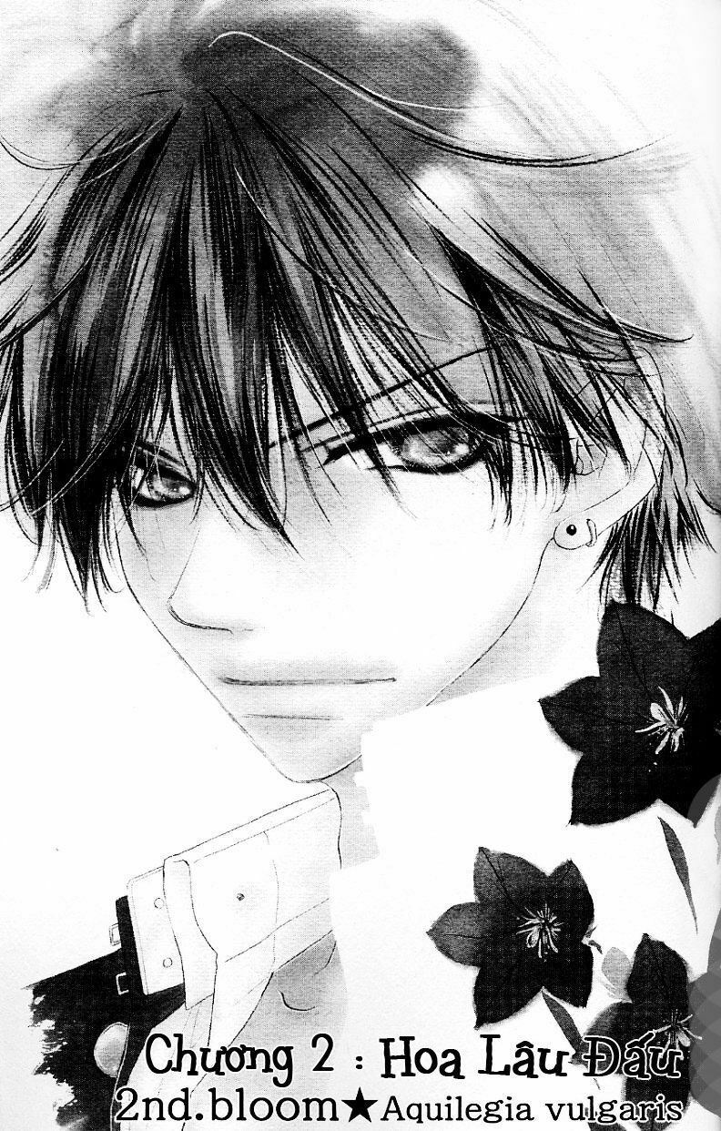 Kiss/Hug: Chapter 2: - Lâu Đấu