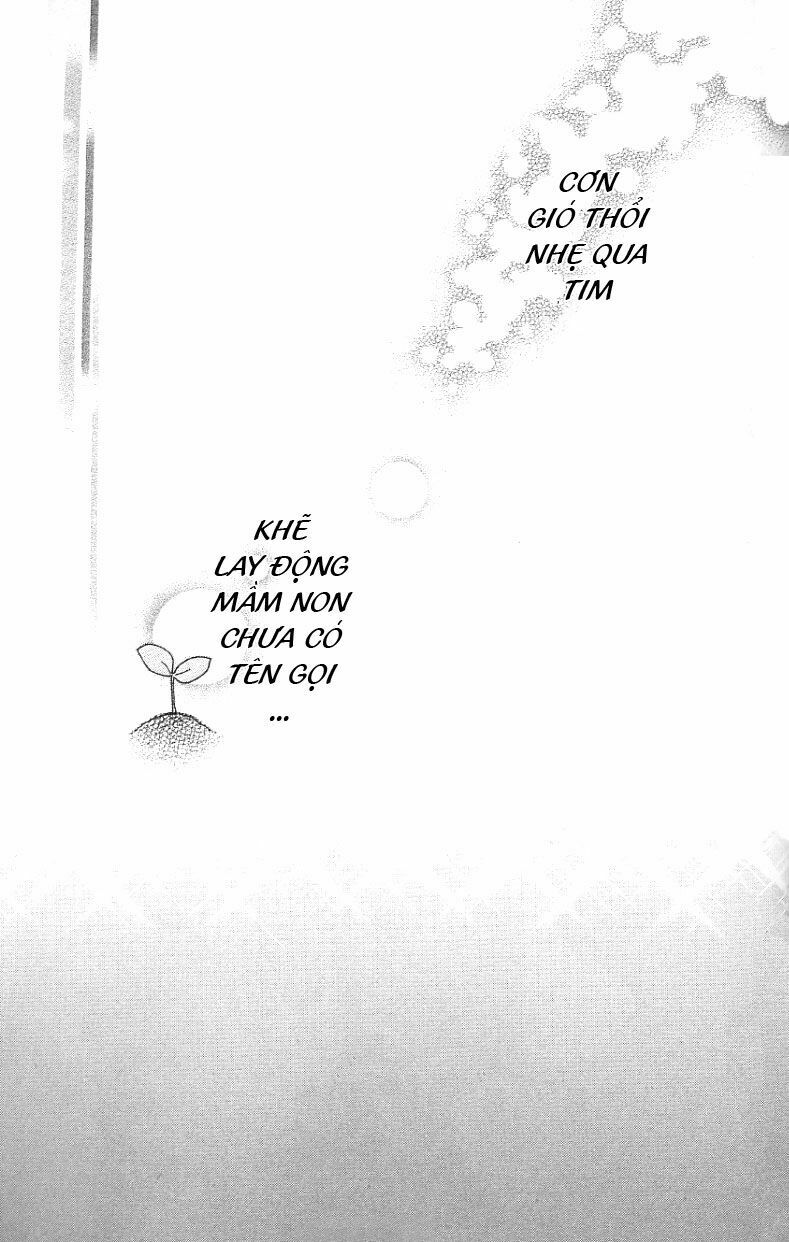 Kiss/Hug: Chapter 2: - Lâu Đấu