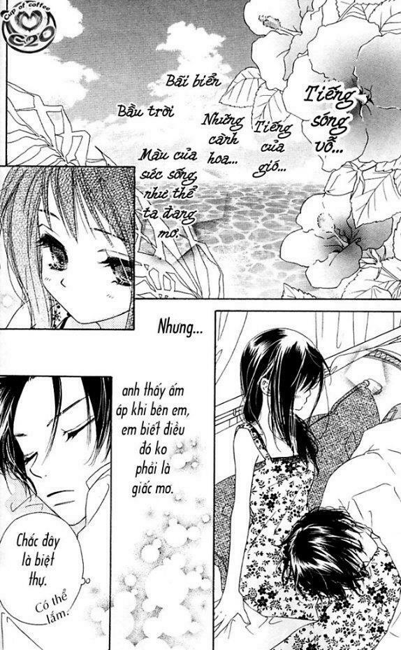 Kiss/Hug: Chapter 4: - Chi Hoa Giấy