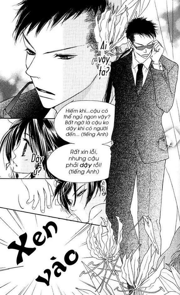 Kiss/Hug: Chapter 4: - Chi Hoa Giấy