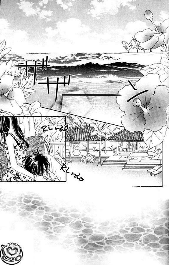 Kiss/Hug: Chapter 4: - Chi Hoa Giấy