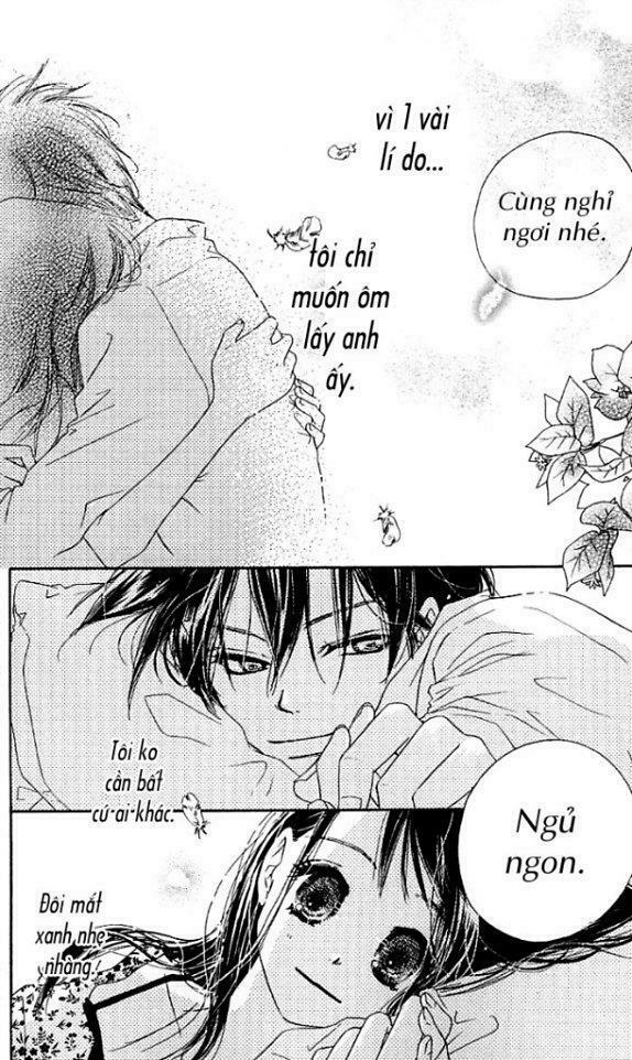 Kiss/Hug: Chapter 4: - Chi Hoa Giấy