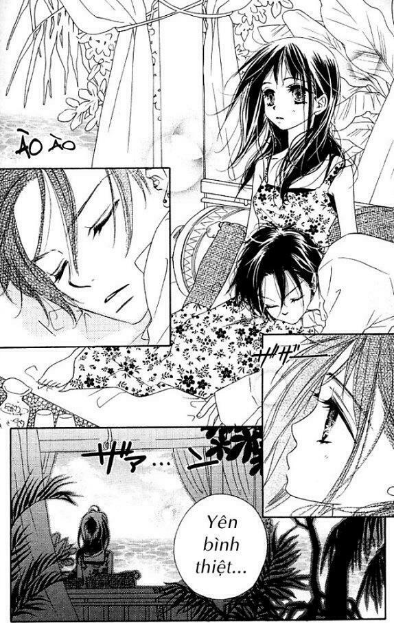 Kiss/Hug: Chapter 4: - Chi Hoa Giấy