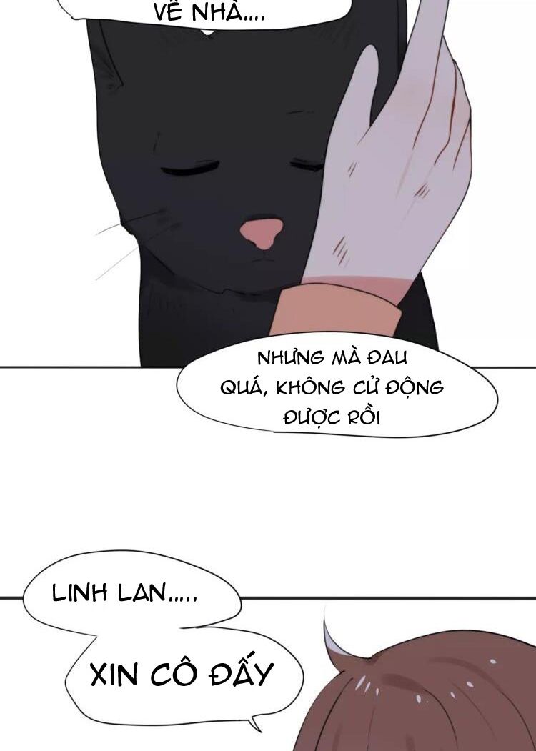 Tiểu Miêu và Hắc Diệu Thạch: Chapter 27