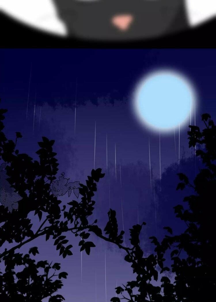 Tiểu Miêu và Hắc Diệu Thạch: Chapter 27