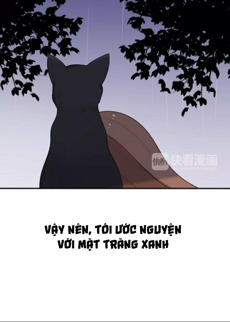 Tiểu Miêu và Hắc Diệu Thạch: Chapter 27