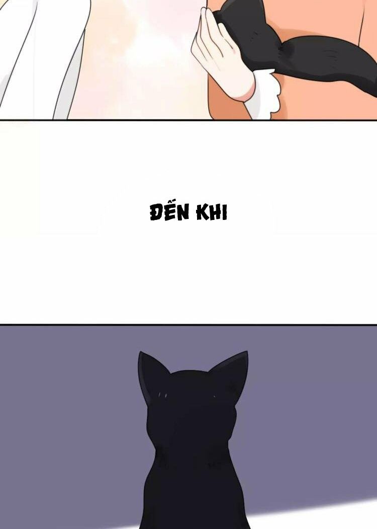 Tiểu Miêu và Hắc Diệu Thạch: Chapter 27