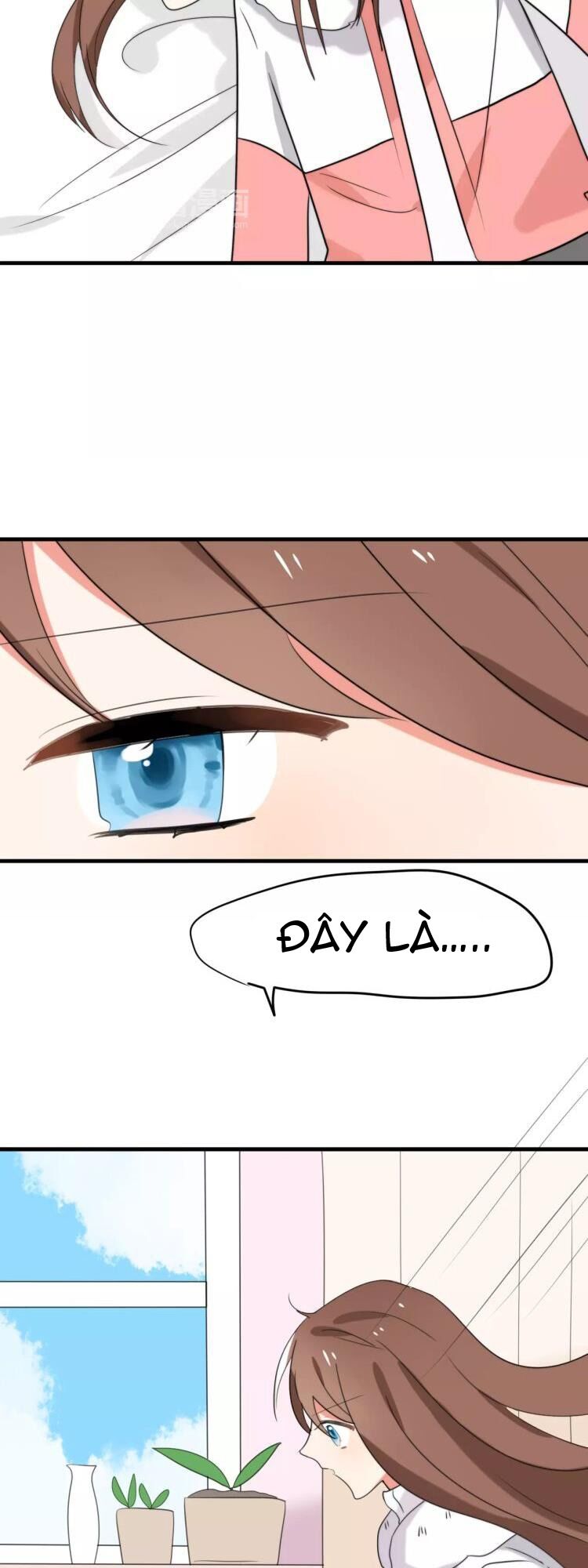 Tiểu Miêu và Hắc Diệu Thạch: Chapter 32: -hết