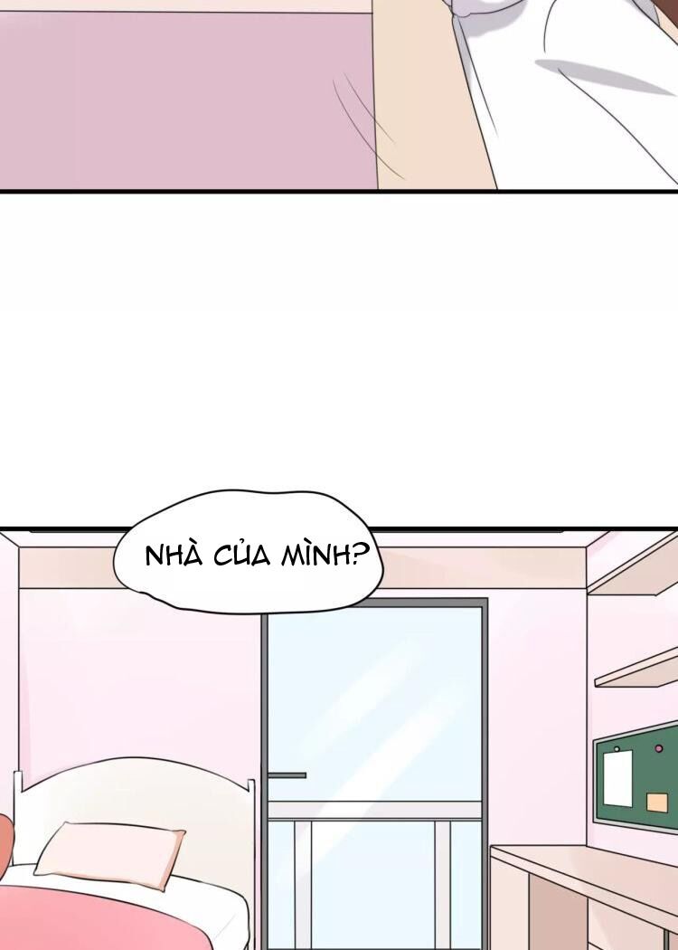 Tiểu Miêu và Hắc Diệu Thạch: Chapter 32: -hết