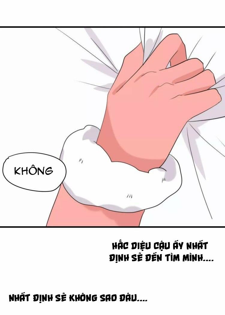 Tiểu Miêu và Hắc Diệu Thạch: Chapter 32: -hết