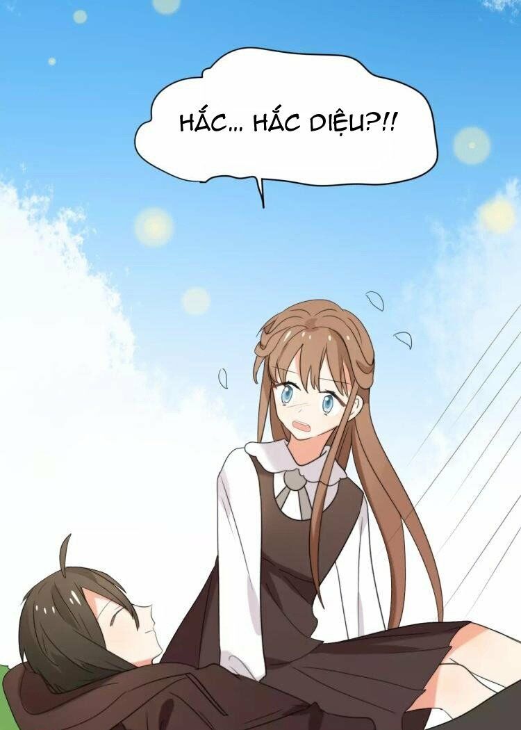 Tiểu Miêu và Hắc Diệu Thạch: Chapter 32: -hết