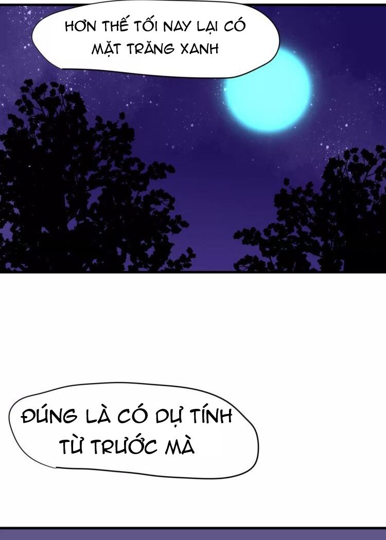 Tiểu Miêu và Hắc Diệu Thạch: Chapter 32: -hết