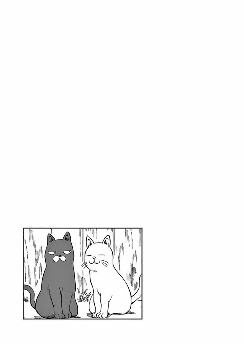 Ashita Wa Doyoubi: Chapter 13: Con mèo