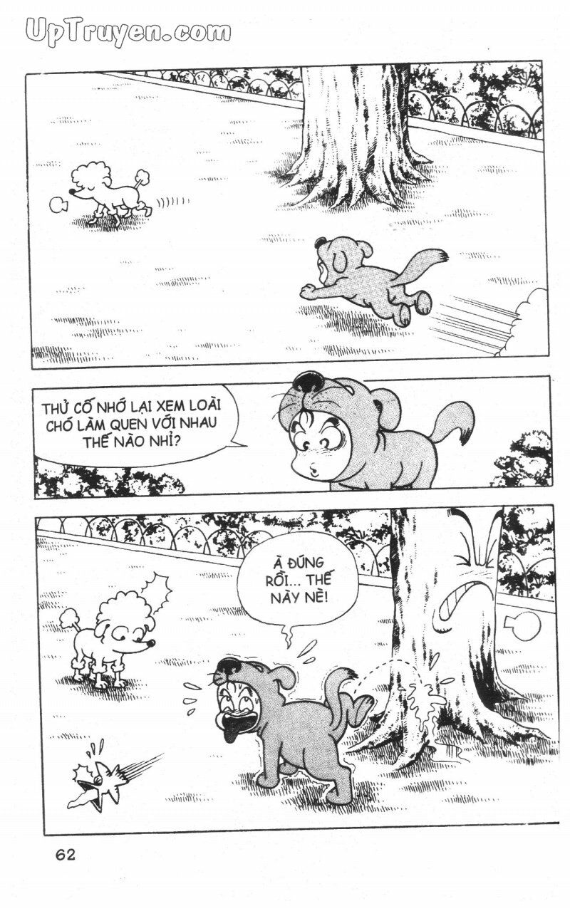 Đội Quân Nhí Nhố: Chapter 5