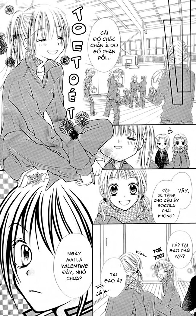 Bí mật xương rồng: Chapter 2