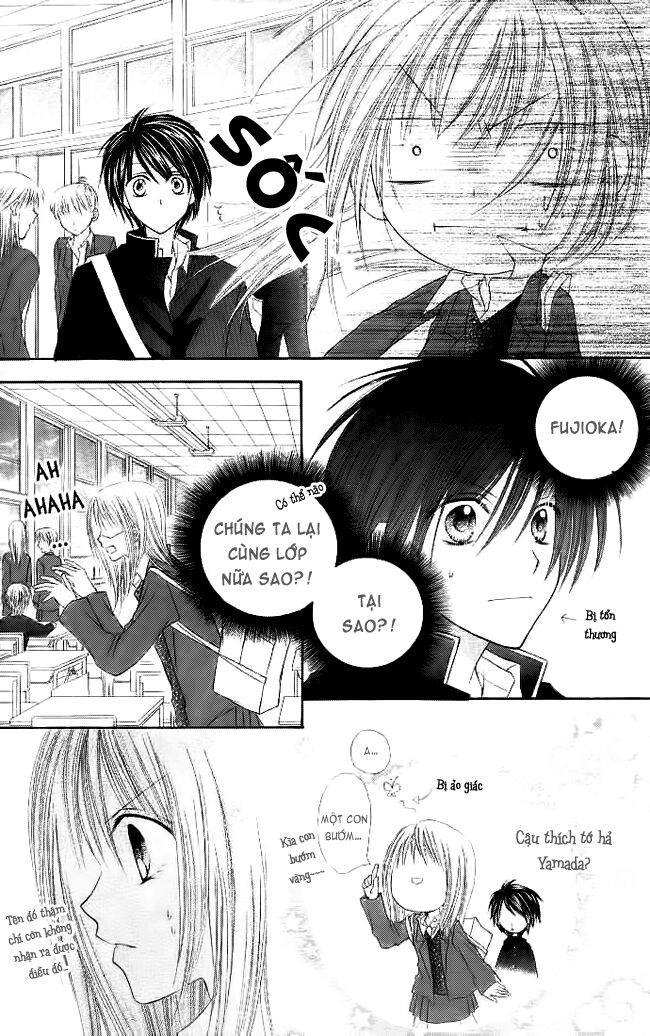 Bí mật xương rồng: Chapter 5