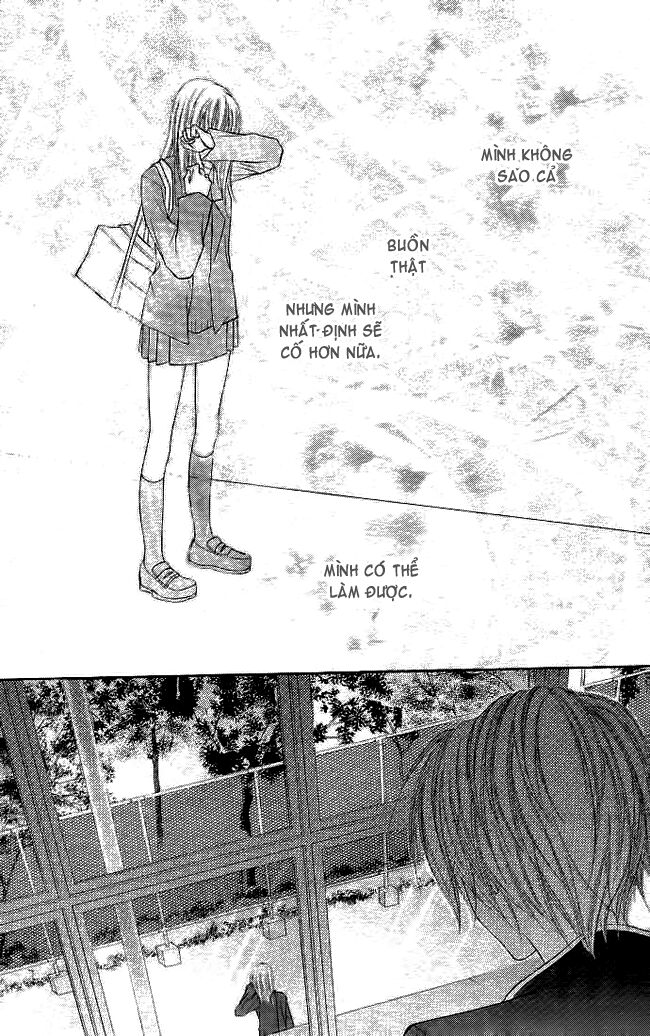Bí mật xương rồng: Chapter 5