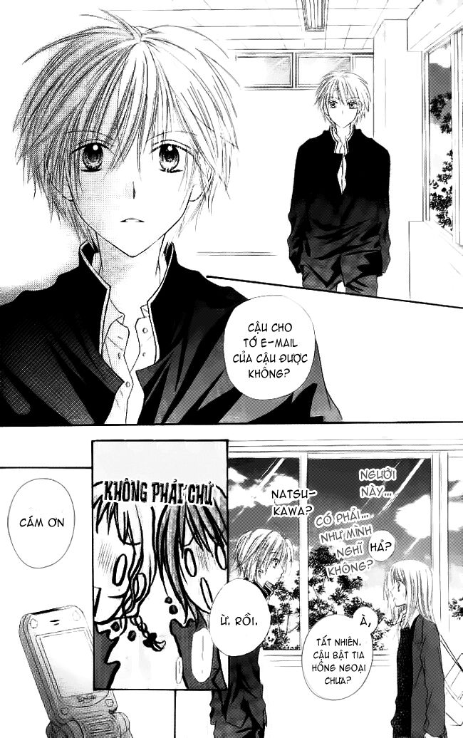 Bí mật xương rồng: Chapter 5