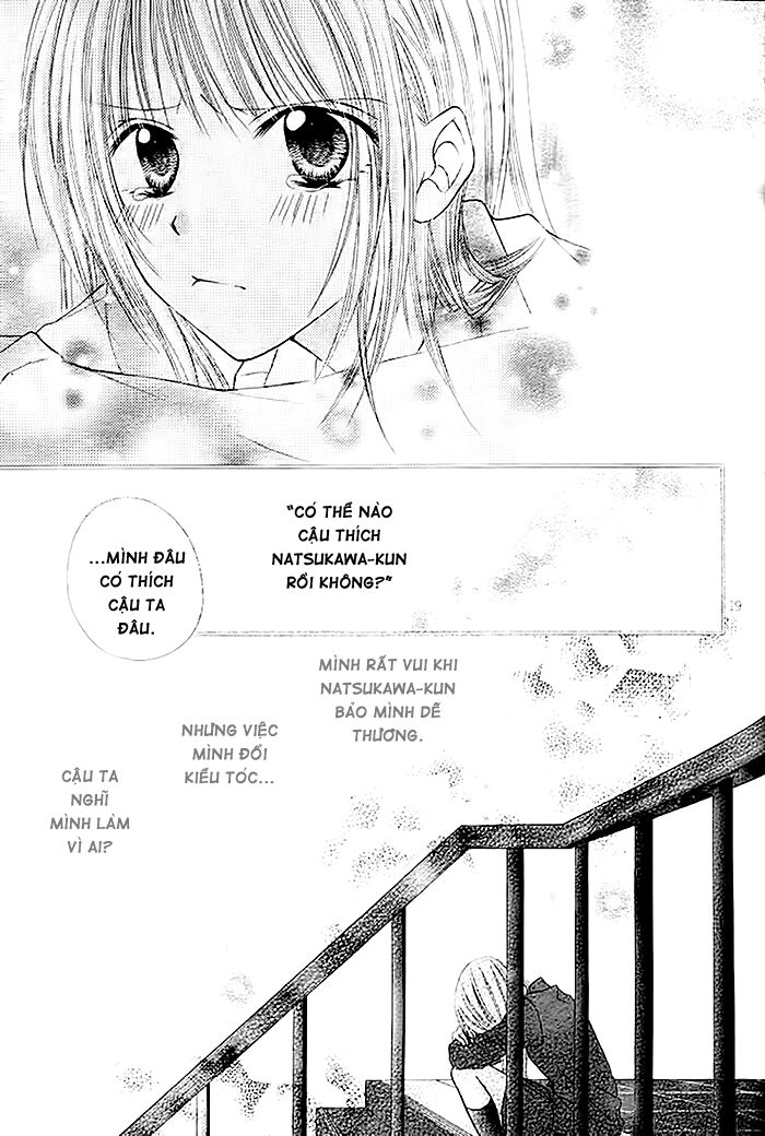 Bí mật xương rồng: Chapter 7