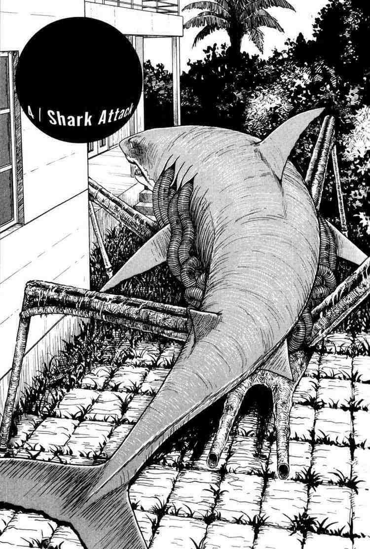 Quái vật biển: Chapter 4