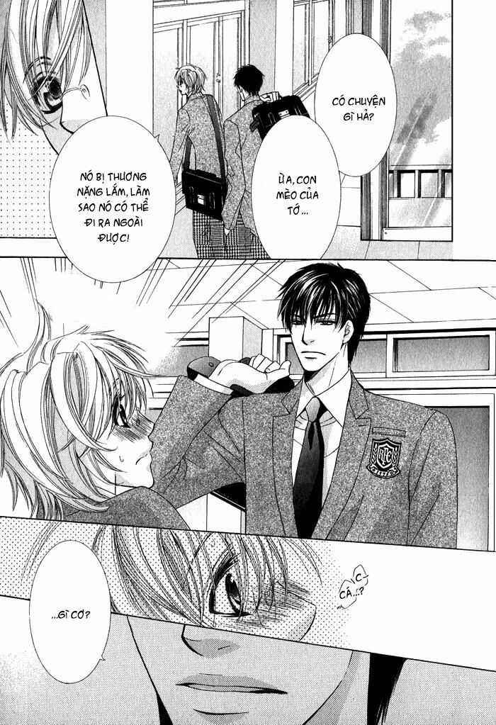 Neko Mata: Chapter 1