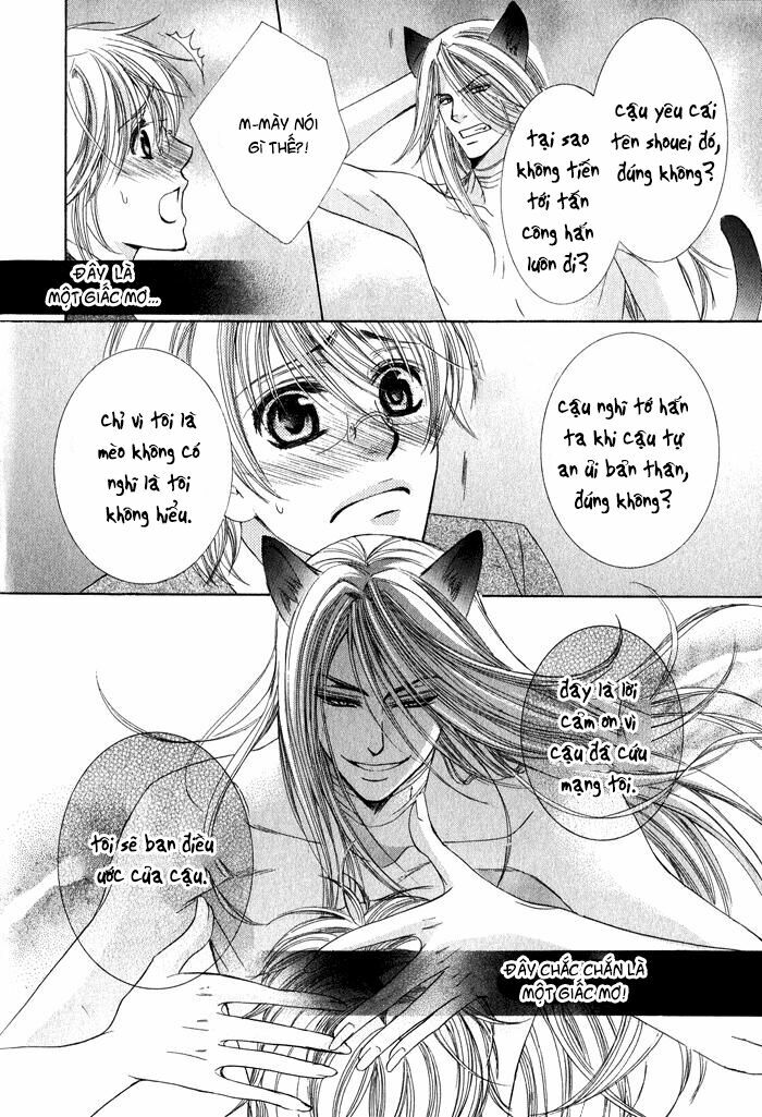 Neko Mata: Chapter 1