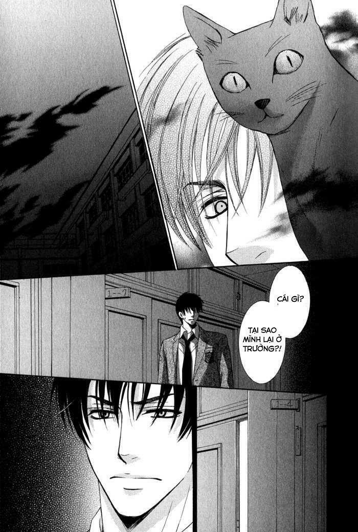 Neko Mata: Chapter 4