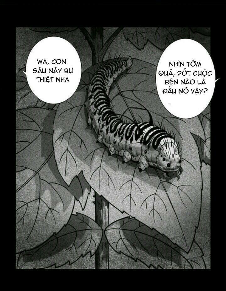 Những Câu Chuyện Kinh Dị Ở Trung Học Tây Lăng: Chapter 3