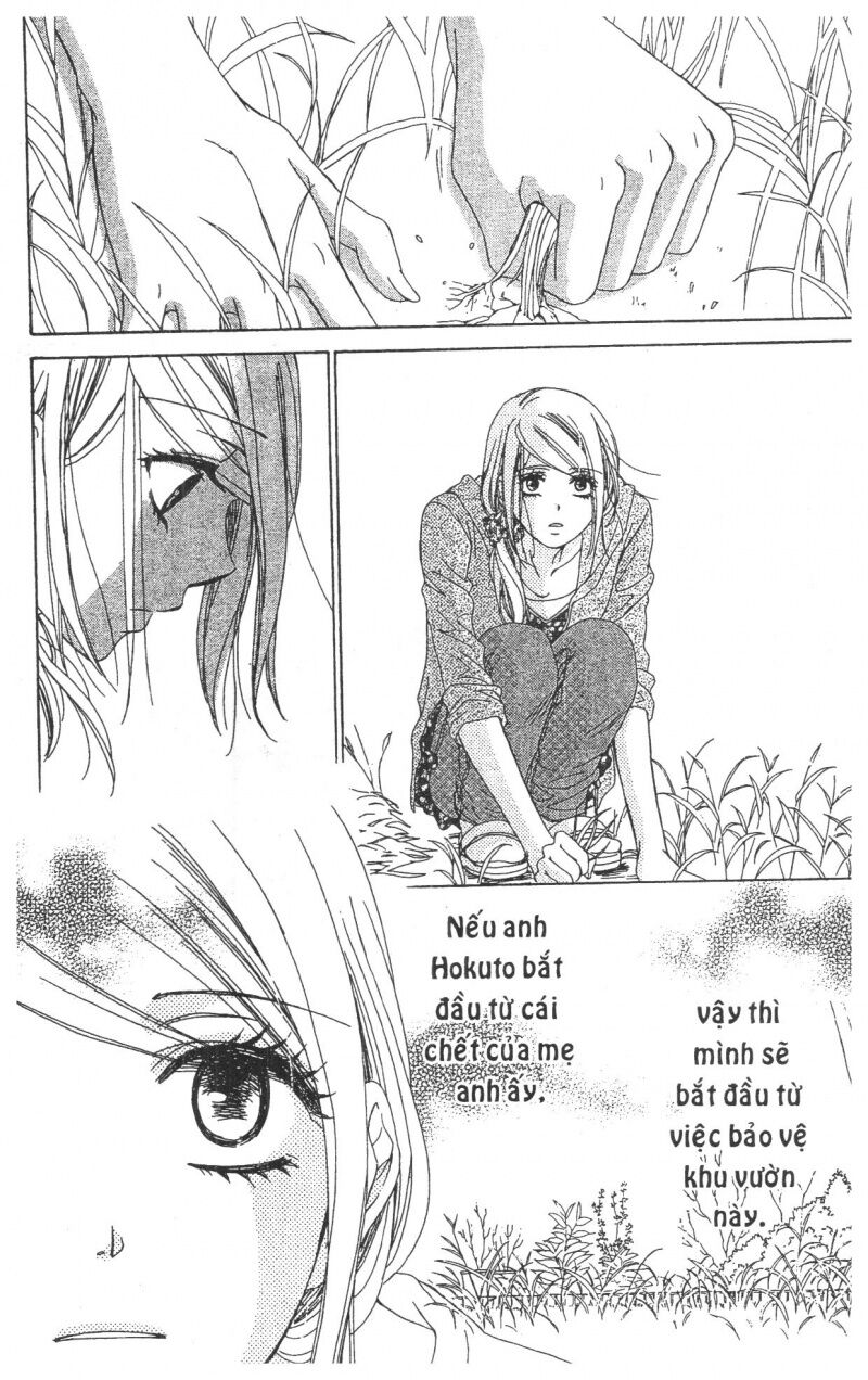 Hôn Nhân Bất Đắc Dĩ - Love Of Firos You: Chapter 38