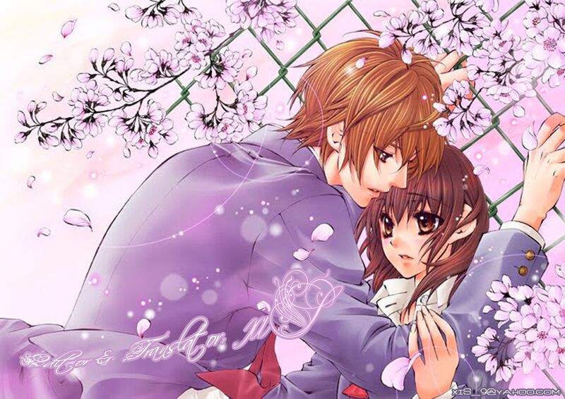 Boku no Hatsukoi wo Kimi ni Sasagu: Chapter 2
