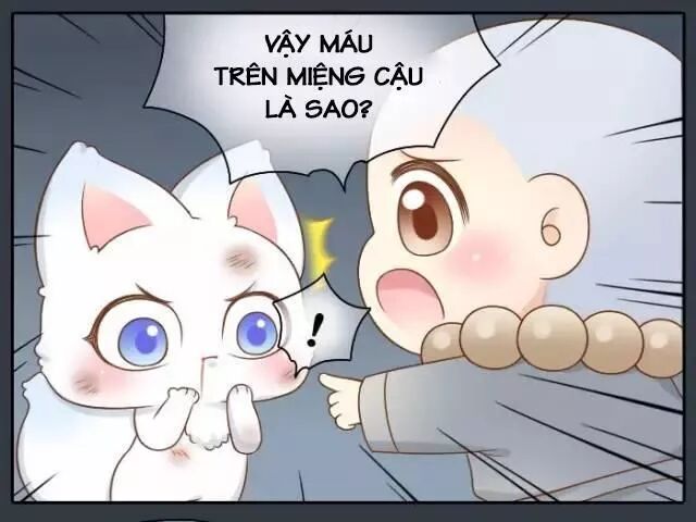 Tiểu Hồ Ly vs Tiểu Hóa Thượng: Chapter 48