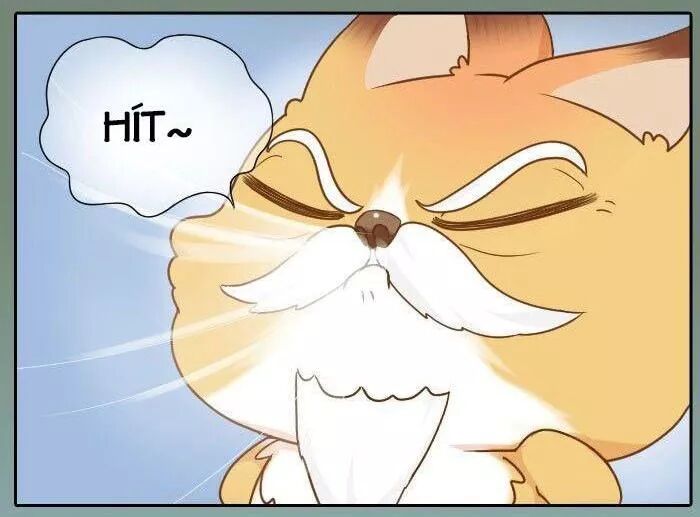 Tiểu Hồ Ly vs Tiểu Hóa Thượng: Chapter 62